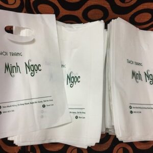 In Túi Nilon Theo Yêu Cầu